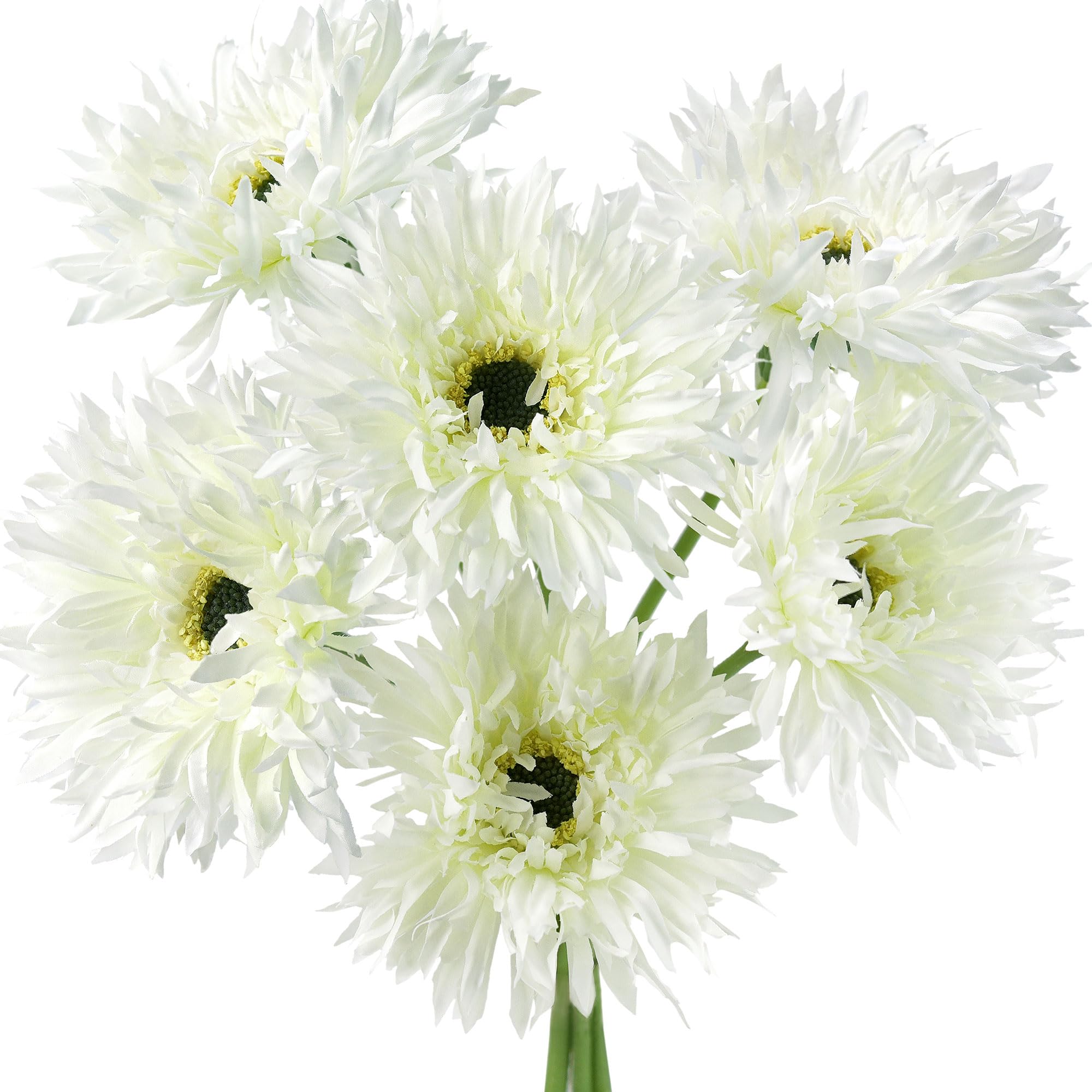 FiveSeasonStuff Mint Cream Spider Gerbera Daisies Silk Flowers Real Looking Artificial Flowers 42cm (6 Stems)