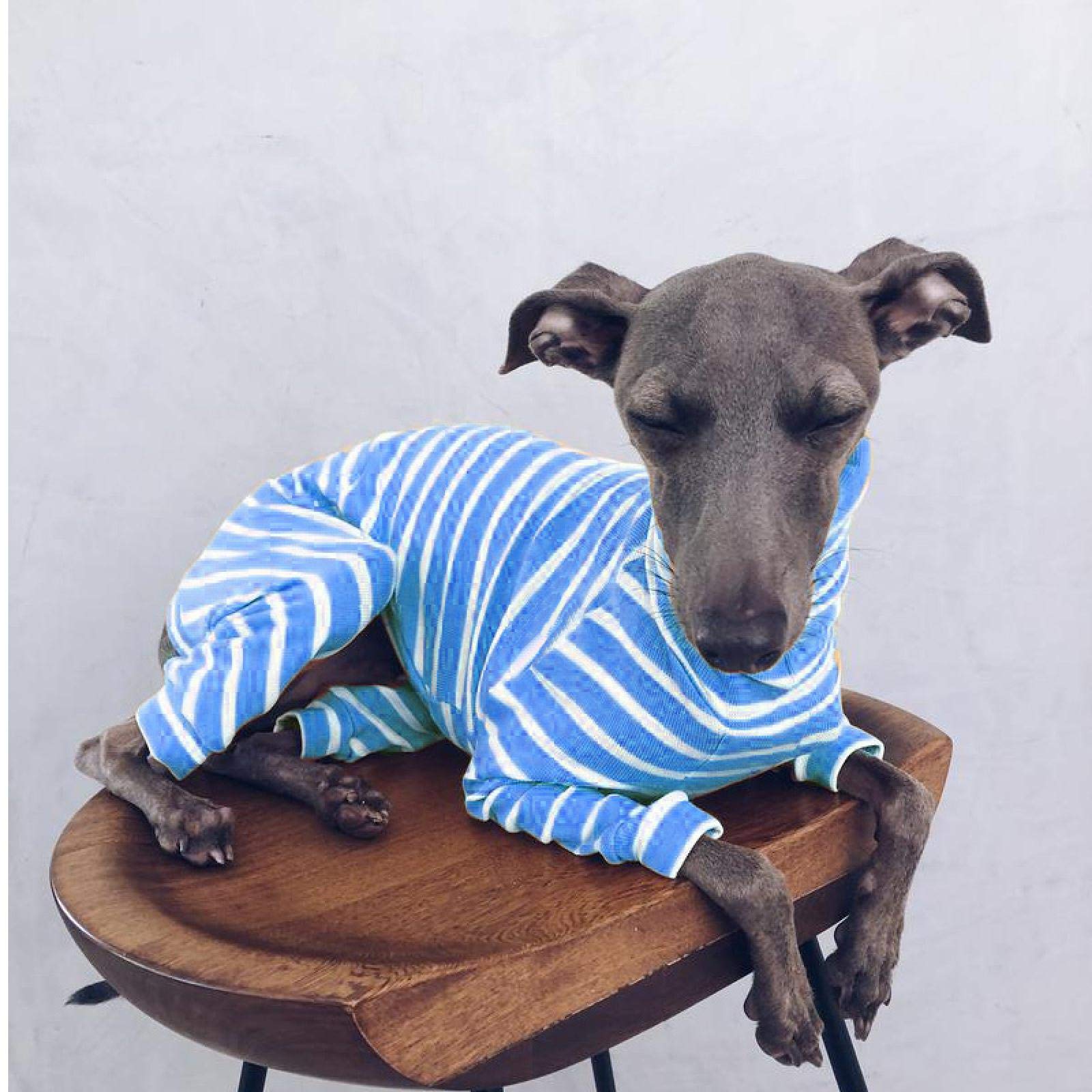 Amazon | 大きな犬のジャンプスーツストライプの犬の服4本足の