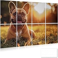 Vista 1 de DOLLAR BOSS Paneles acústicos de arte de pared, paquete de 8 paneles insonorizados de 48 x 32 pulgadas para pared, paneles decorativos de absorción