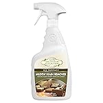 STAR BRITE Outdoor Collection All Surface Mold Stain & Mildew Stain Remover Spray - Cleans & Removes Stains on Contact - 32 OZ Spray (054432)