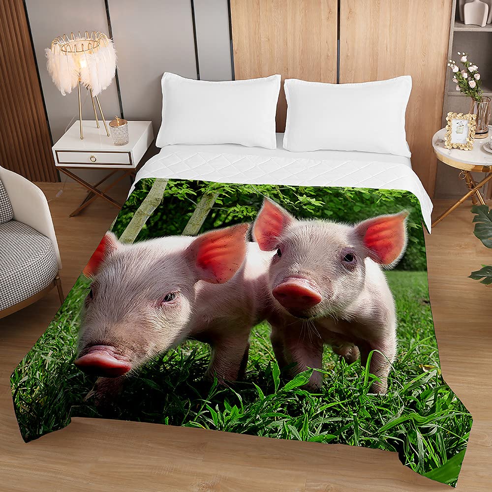 Trapuntino Copriletto Trapuntato Matrimoniale Singolo, Chickw11 3D Maiale Stampa Coperta Primaverile Estivo Trapunta Goffrato Coperta Leggera per Camera da Letto (Maiale d'erba,230x280cm)