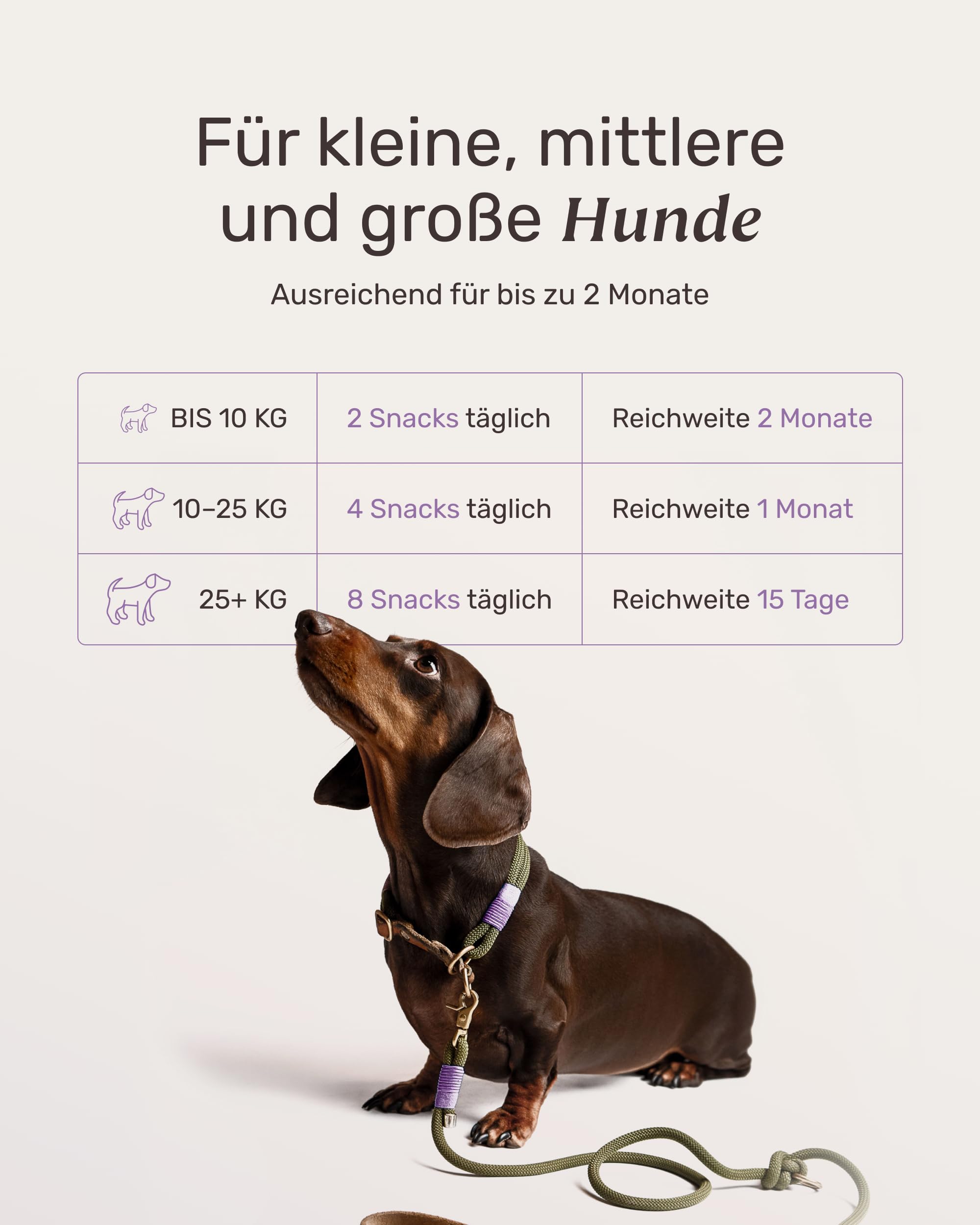 6-in-1 Vital-Komplex für Senior Hunde - Forever Young 120 Snacks (350g) von mammaly - Mit Ginko, Kurkuma, Bierhefe, Kollagen, L-Carnitin & Mikroalgen für den Alten Hund