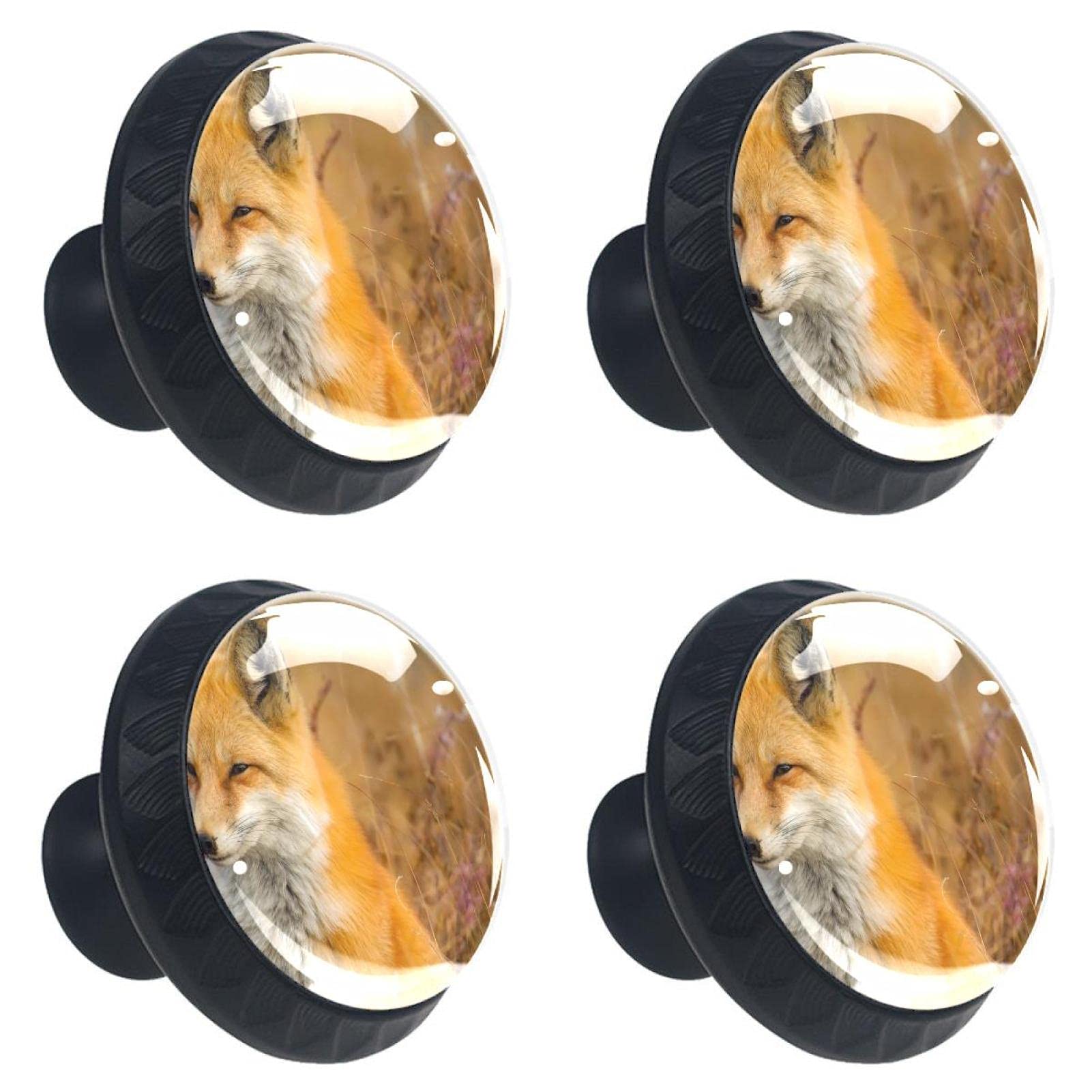 Boutons de tiroir renard multicolores pour meuble de cuisine et bureau x4