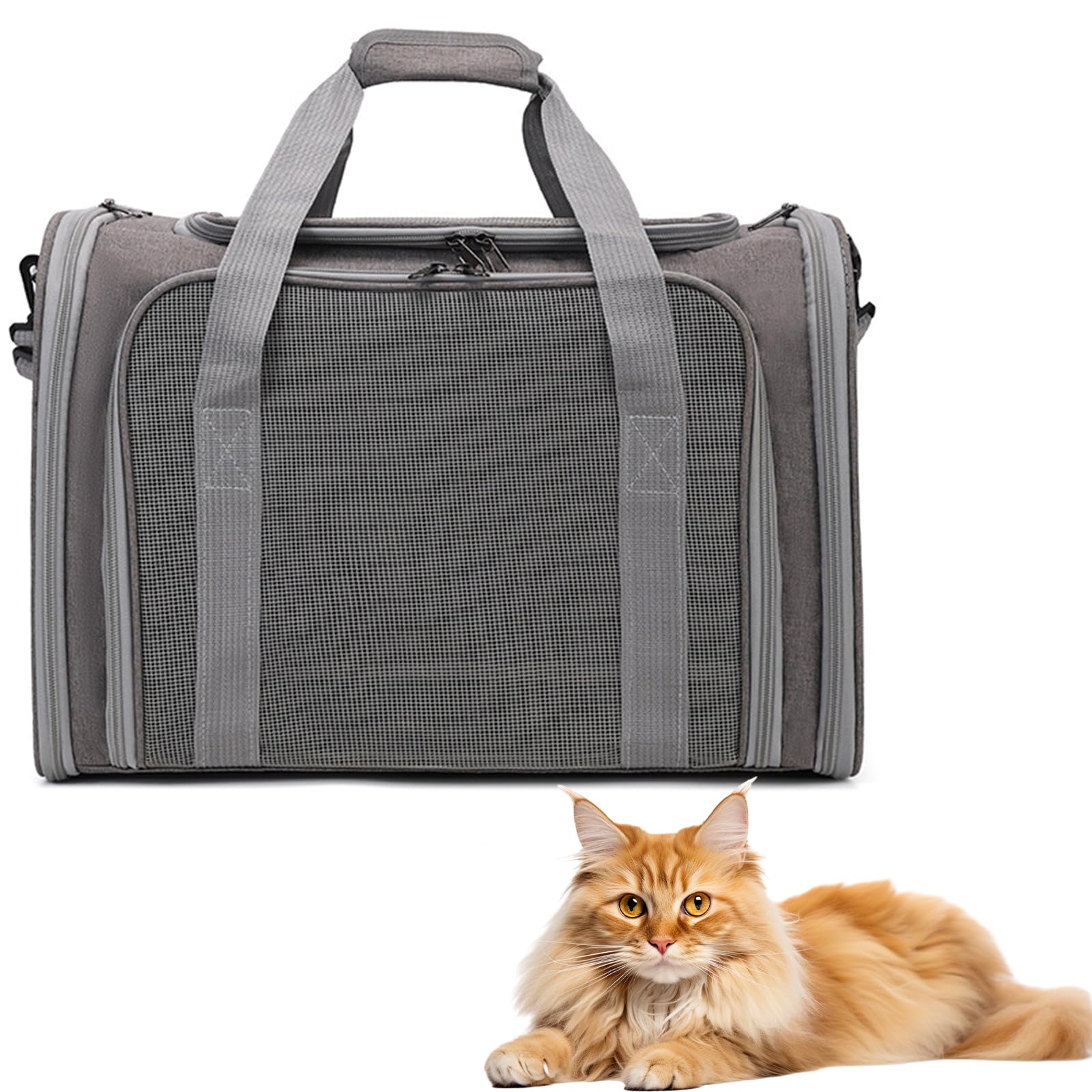 Collapsible Cat Carrier, Soft-Sided Pet Travel Carrier with Multi-Entry & Padded Shoulder Strap, 45x30x30cm for Cats/Small Dogs/Pets up to 14.5 lbs (Grey)