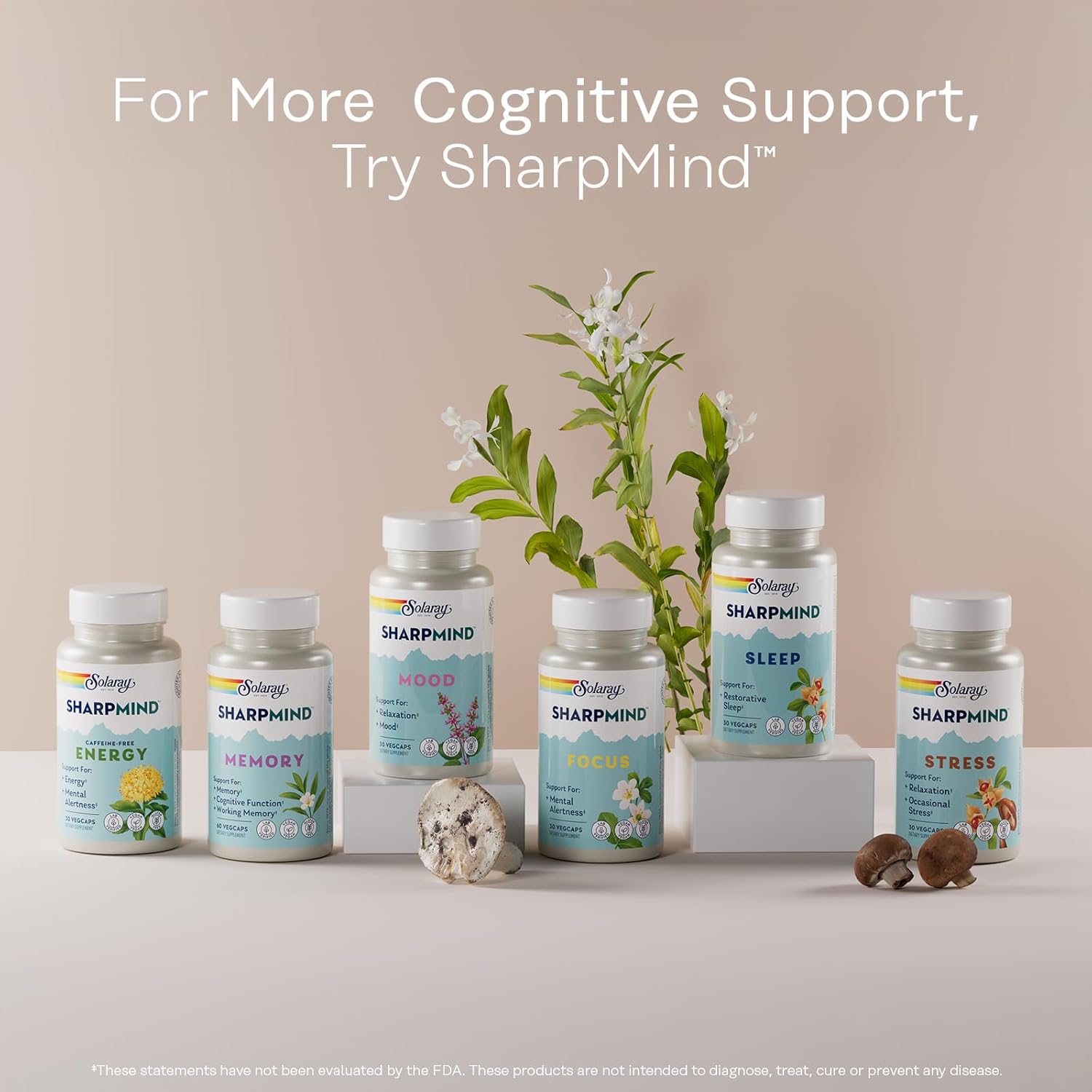 SOLARAY Ginkgo Biloba Extract with Gotu Kola - Ginko Biloba Capsules for Brain Health Support - Vegan, Lab Verified, 60-Day Guarantee - 60 Servings, 60 VegCaps (60 VegCaps) - Image 6