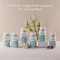 Vista 6 de SOLARAY One Daily Ginkgo Biloba Extracto de hoja Circulación sanguínea saludable, apoyo a la memoria y la función cerebral (60 cápsulas vegetales)