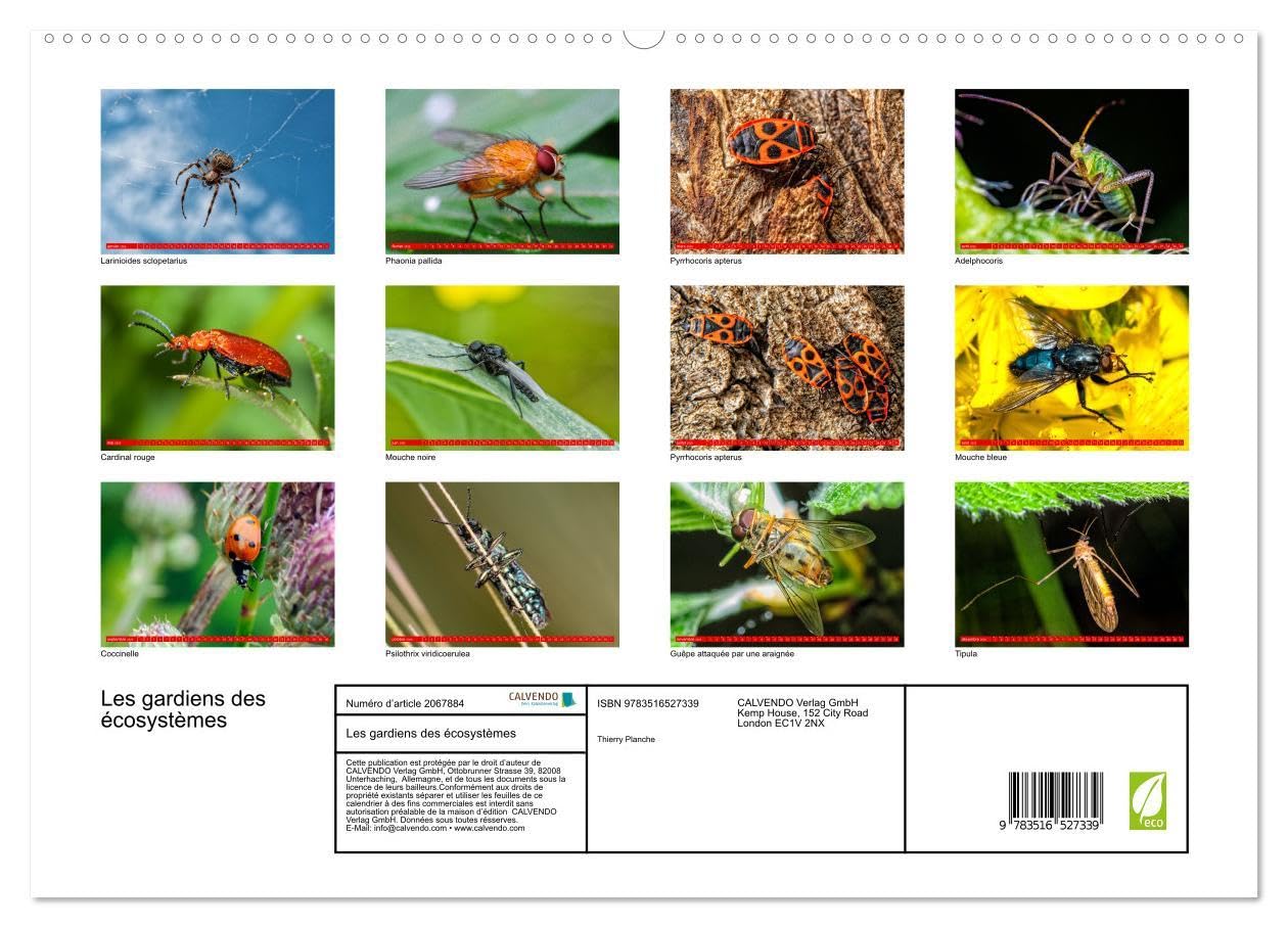 Les gardiens des écosystèmes (Calendrier mural 2026 DIN A2 vertical) calendrier de bureau: Rôle crucial des insectes régulateurs dans le maintien de l'équilibre écologique.