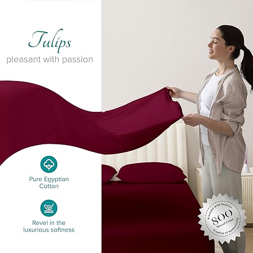 Vista 103 de Carressa Linen Juego de sábanas 100% de algodón egipcio, tamaño Queen, 6 piezas de 800 hilos de algodón egipcio, tamaño Queen, color blanco, suave