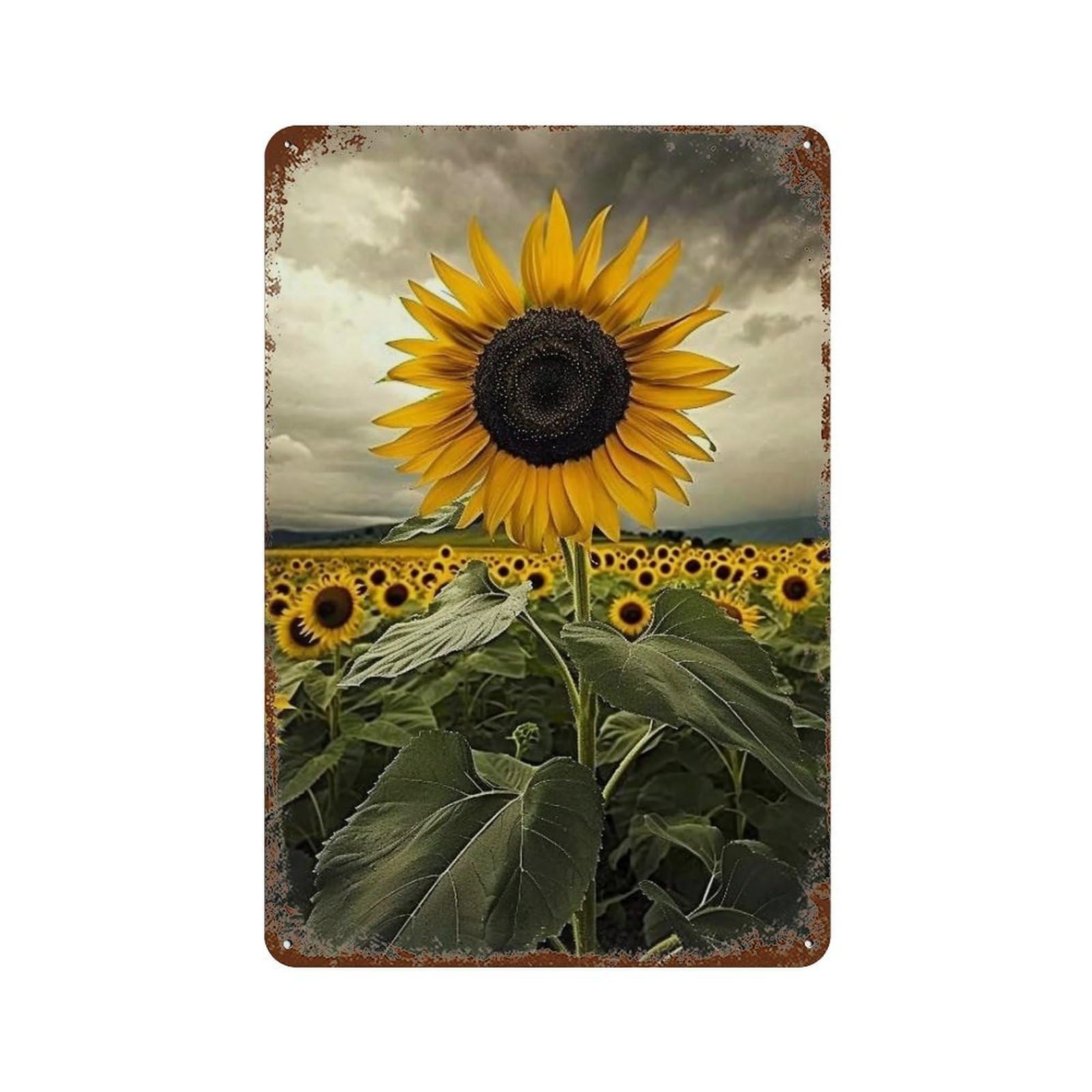 WIHYRTUI Dramatic Stormy Meadow Vibrant Yellow Bloom Scene 03 Wall Retro Iron Metal Tin Sign Vintage Art Poster Modern Home Cofffee Club Art Bar Shop Decor Style 30x20cm