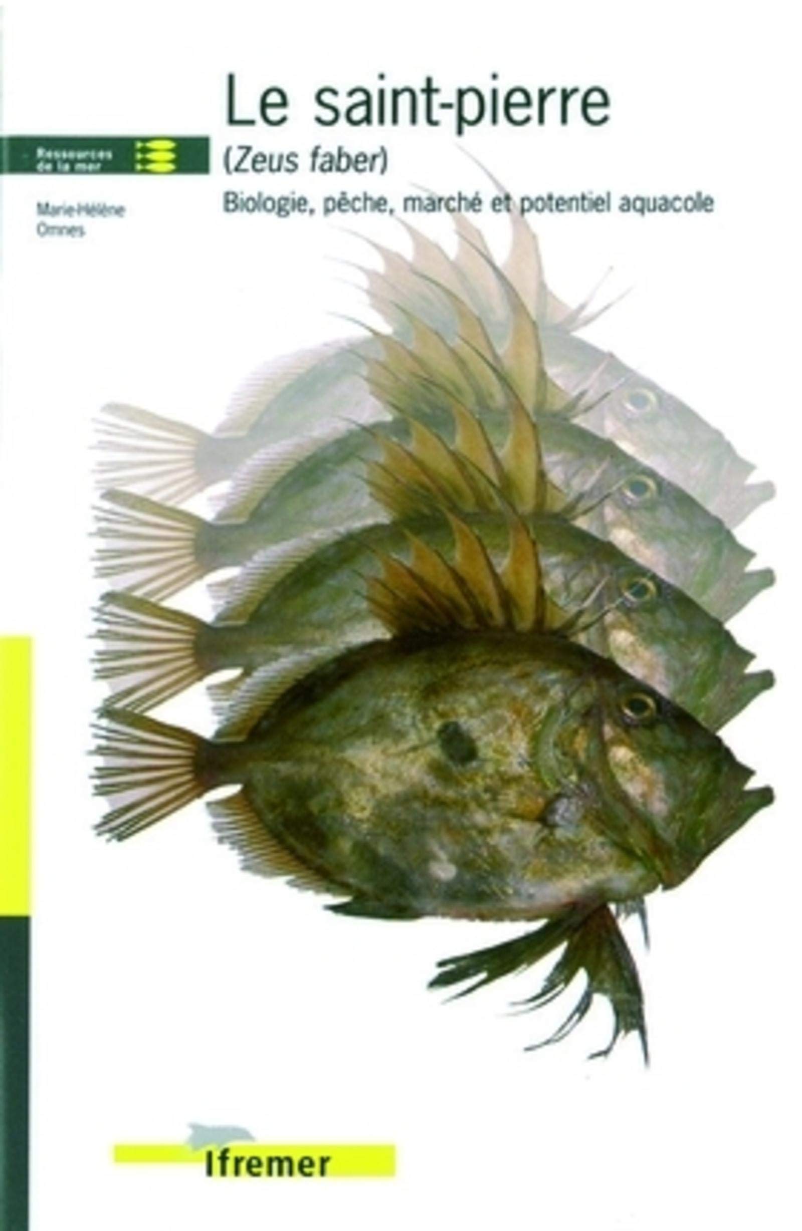 Le saint-pierre (zeus faber): Biologie, pêche, marché et potentiel aquacole