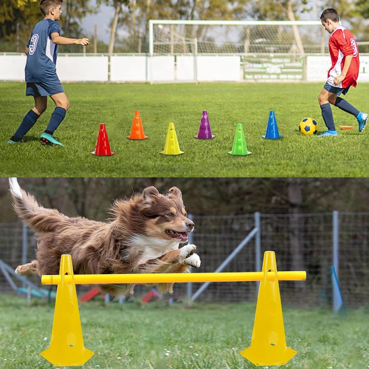 Shengruili Agility Set Hunde,Steckhürdenset Hund,Hund Hürden,Kinder Agility Hürden Hindernisse mit 8 Kegel 23cm Höhe + 8 Stangen 100cm lang, für Trainingsübungen für Tier & Fußballtraining