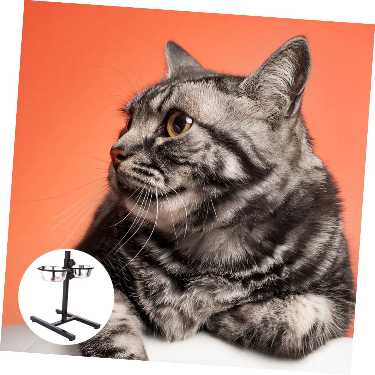 Mikikit Set di Ciotole per Animali Domestici in Acciaio Inox Supporto Rialzato Regolabile in Altezza e Base Antiscivolo, per Cani e Gatti