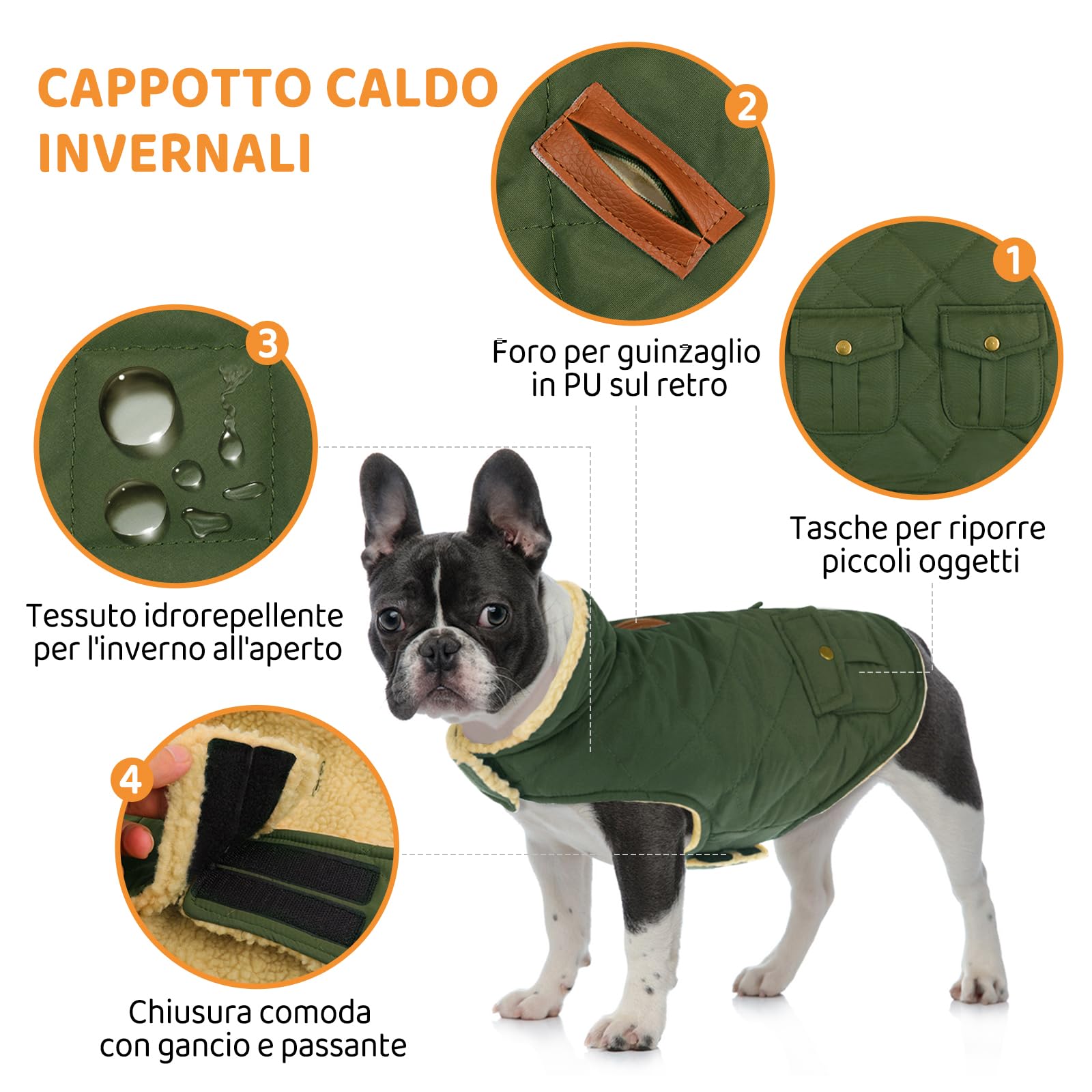 Queenmore Cappotto Cane Caldo Cappottino Cane Taglia Piccola Cappotto Impermeabile per Cani Giubbotto Invernale Pile Cane Vestiti per Cani Bassotto Bulldog Francese Chihuahua, Verde, S
