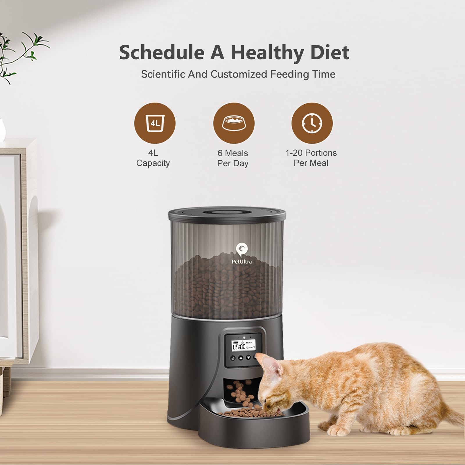 PETULTRA Automatic Cat Feeder: 4L Timed Cats Food Dispenser Programmable 1-6 Meal for Cat and Small Medium Dog- Auto Pet Feeder Easy to Set Up Dual Power Supply with Desiccant Bag| Detachable Washable: Black-Basic Edition