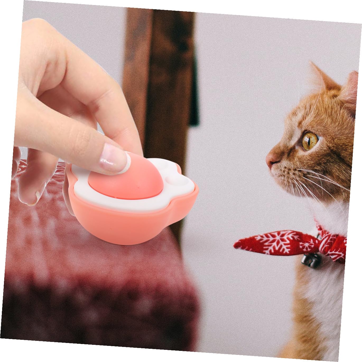 SUPVOX 12pièces Balles à Herbe à Chat Interactives avec Catnip Jouet Édible pour Chat Intérieur pour Santé