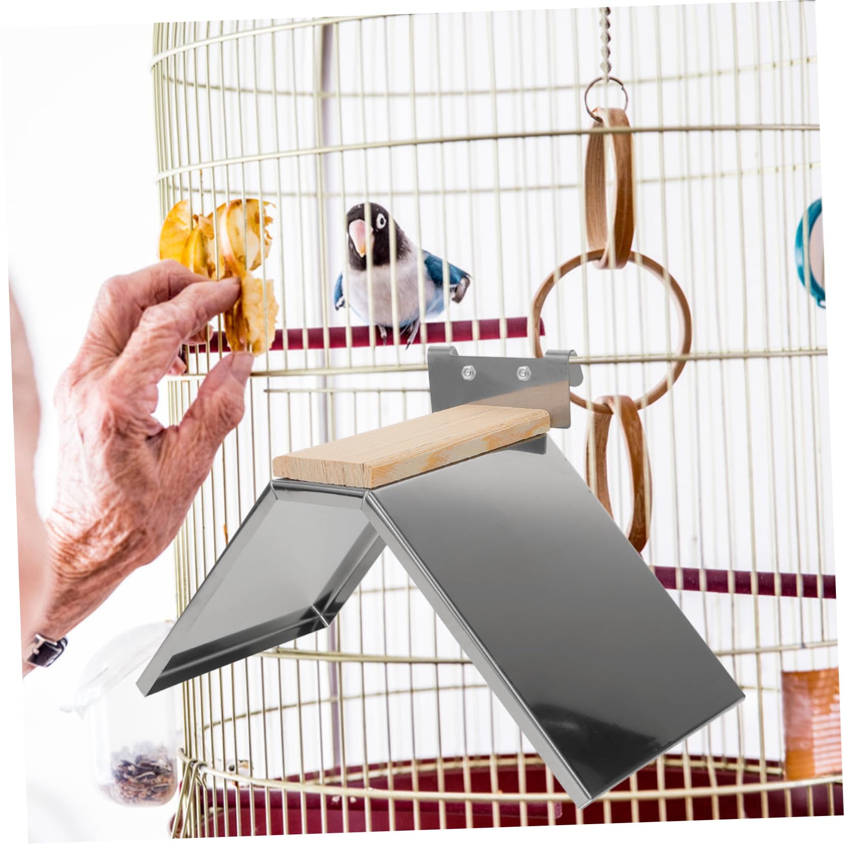 Toddmomy 6piezas Percha para Aves De Inoxidable Soporte para y Periquitos Juguete De Entrenamiento Descanso y Jaulas