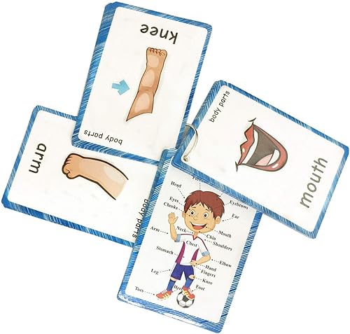Miniatura 3 de SANTSUN Juego de tarjetas didácticas para niños, tarjetas didácticas de aprendizaje con imágenes y palabras, partes del cuerpo, perforadas con