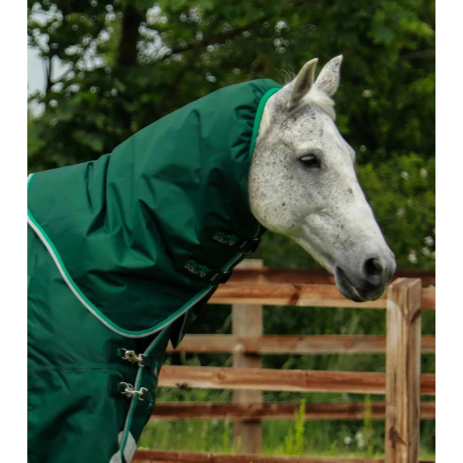 Coperta impermeabile per cavalli con copricollo Premier Equine Buster 200 g