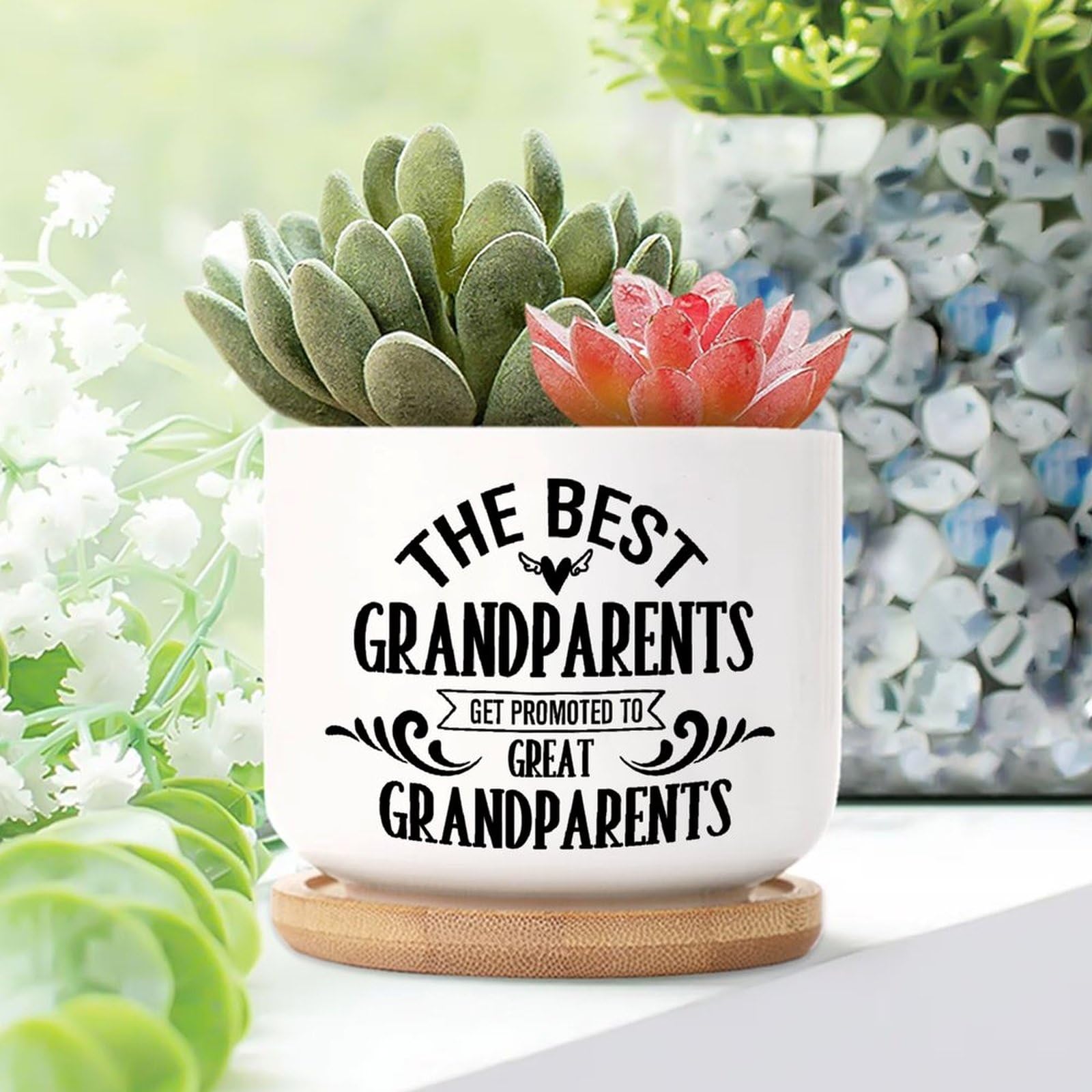 Yelolyio Best Grandparents Get Promoted To Great Grandparents Ceramic Planters Christian Quote Planters for Indoor Plants With Drainage Holes And Saucers Pot For Home Office Desk Garden