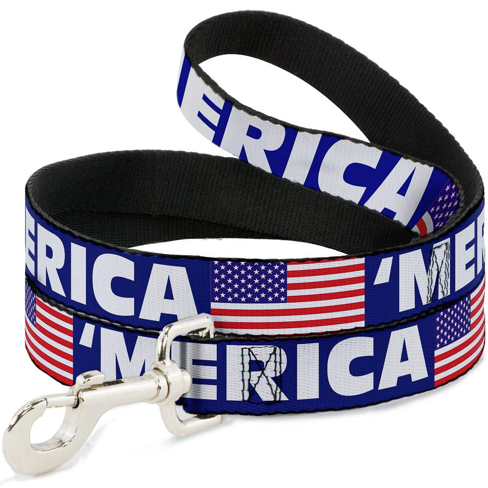 Laisse pour animal Buckle-Down avec imprimé drapeau américain et finitions métalliques