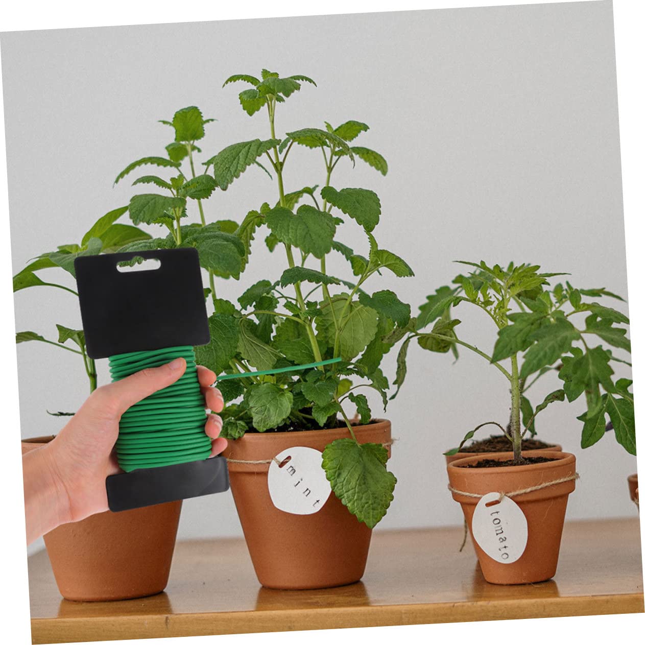 TOYANDONA 2 Rollen Bindedraht Aus Kunststoff Anlage Gartenarbeit Pflanzenbindungen Gartendraht Garten Stützdraht Gartenbaulinie Gartenzubehör Kabel Blumenpot -rebefixierung Eisen Grün