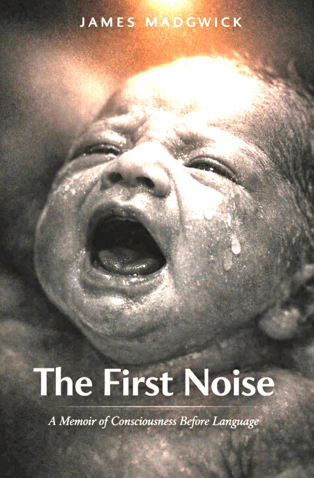 The First Noise: A Memoir of Conciousness Before Language. Immersive Baby Tale For All Ages (The Weird, Wonderful and Extraordinary Collection Series)