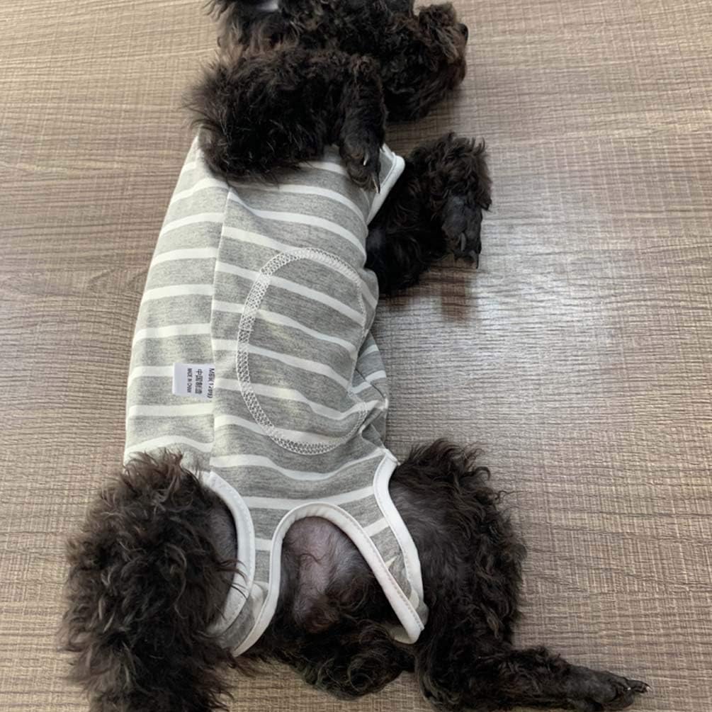 LICH Dog Surgery Recovery Onesie After Surgery Wear, Pet Surgical Snugly Suit Protection Shirt for Male Female Puppy Cat Cone & E-Collar Alternative : Pet Supplies