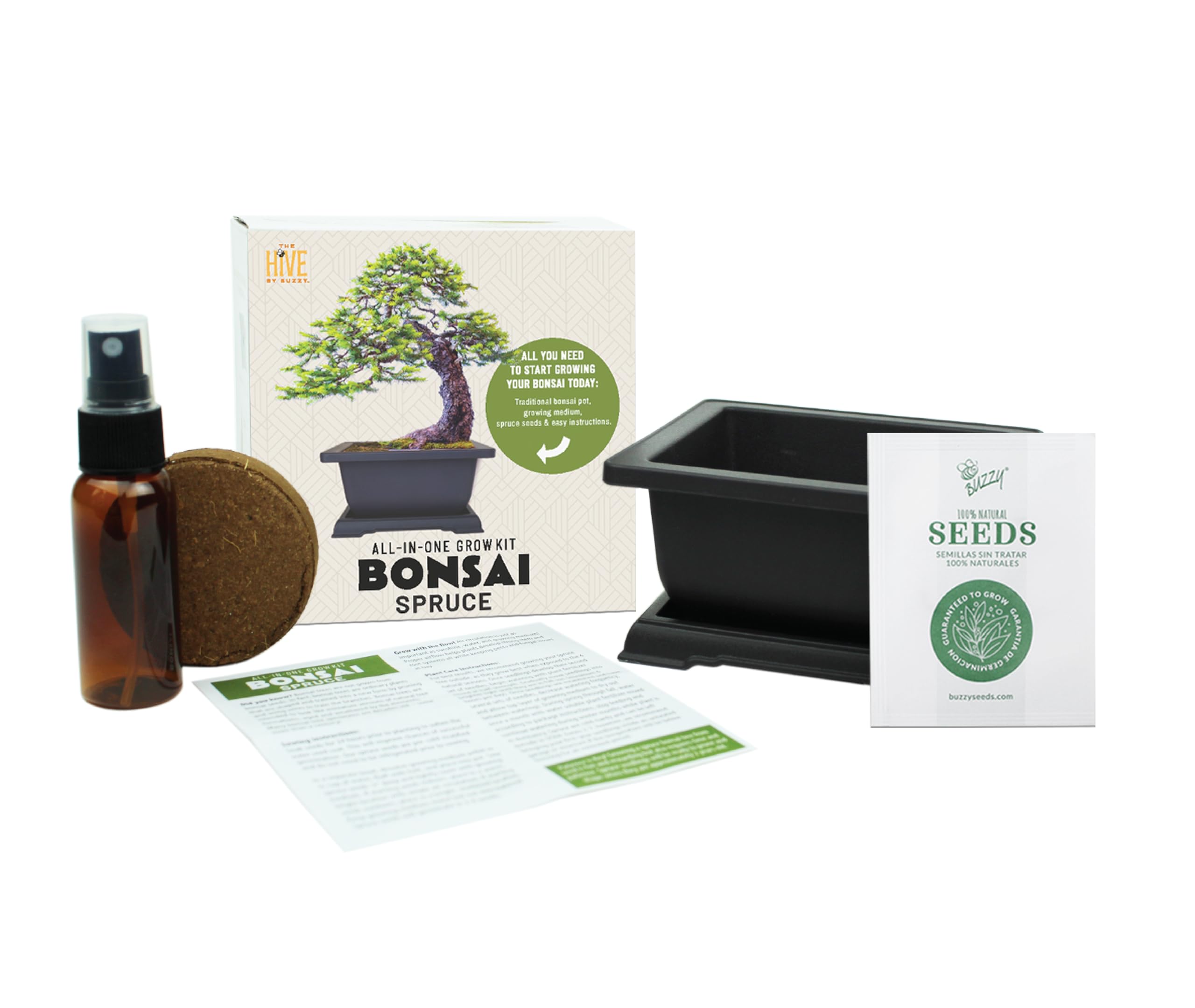 Amazon.com : BUZZY Seeds Bonsai Starter Kit, Norway Spruce