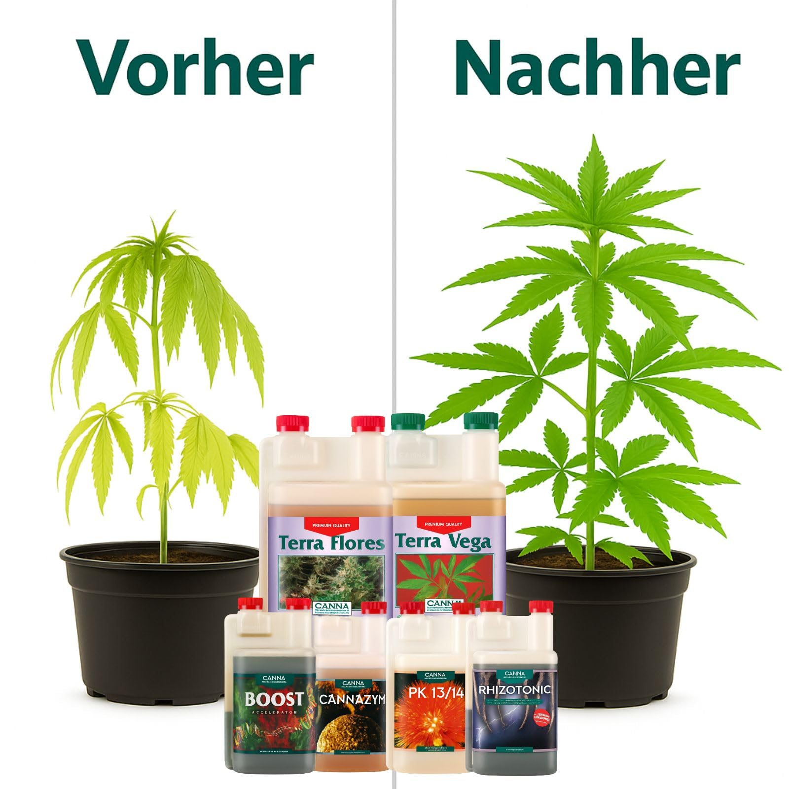 Weedness Canna Dünger Set All-Star Big - Grow Anbau Indoor & Outdoor Tomaten Naturdünger NPK Orchideen Bio Bonsai Organischer