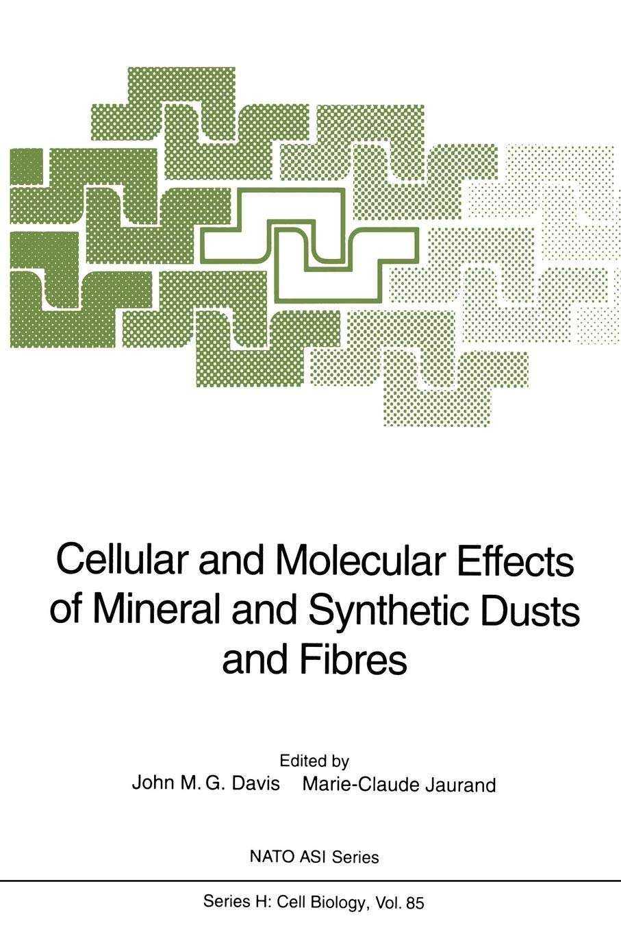 Cellular and Molecular Effects of Mineral and Synthetic Dusts and Fibres: 85 (Nato ASI Subseries H:)