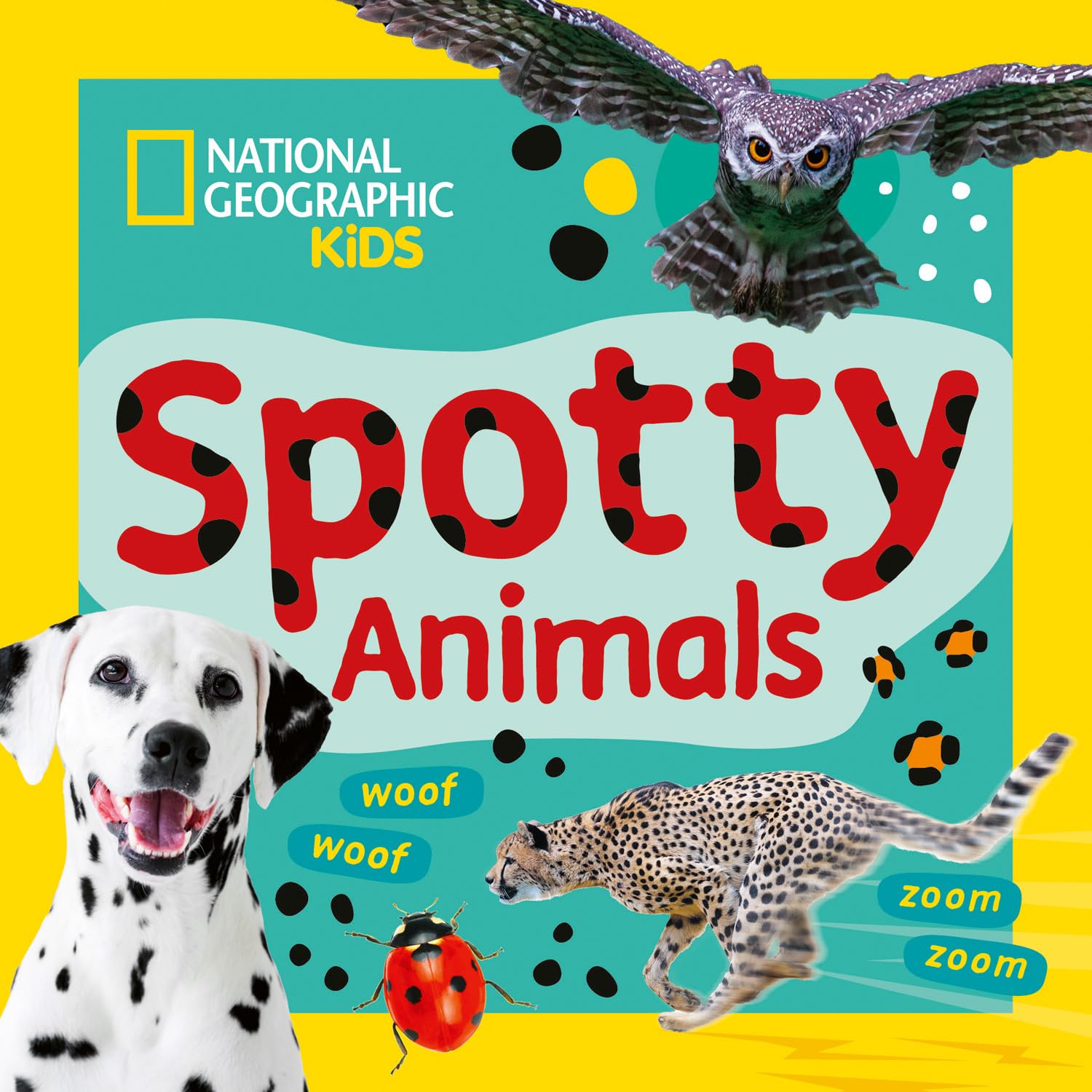 Spotty Animals by  National Geographic Kids - 9780008807184