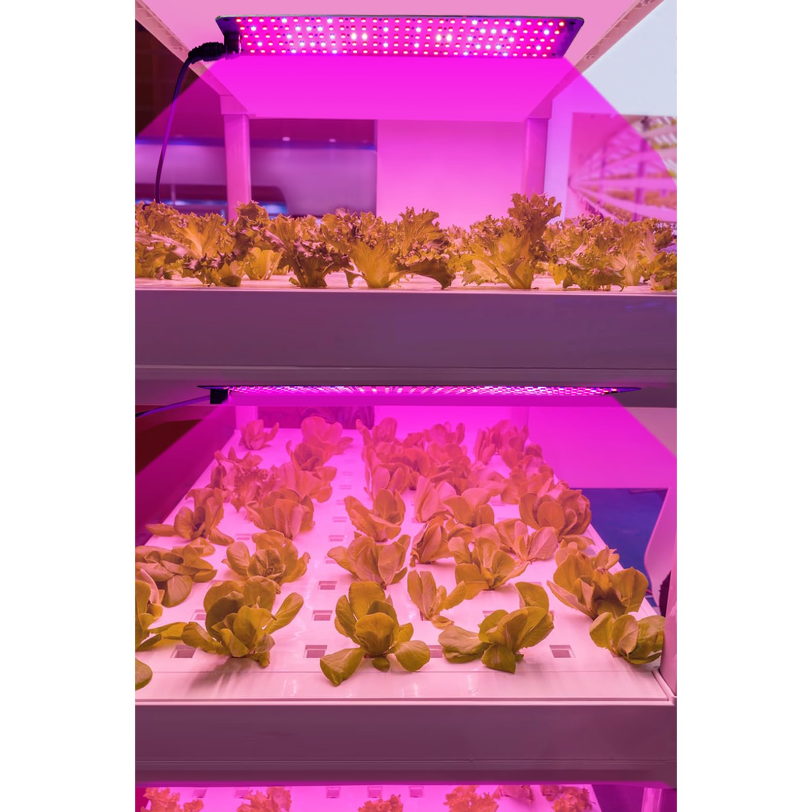 600 Pflanzenlampe LEDs, Grow Lampe, Vollspektrum Pflanzenlicht für Zimmerpflanzen, 4 Pflanzenlichtpanel mit 3/6/12-Stunden-Smart-Timer, 6 dimmbare Stufen, für Setzlinge, Gemüse, Blüte, Sukkulenten
