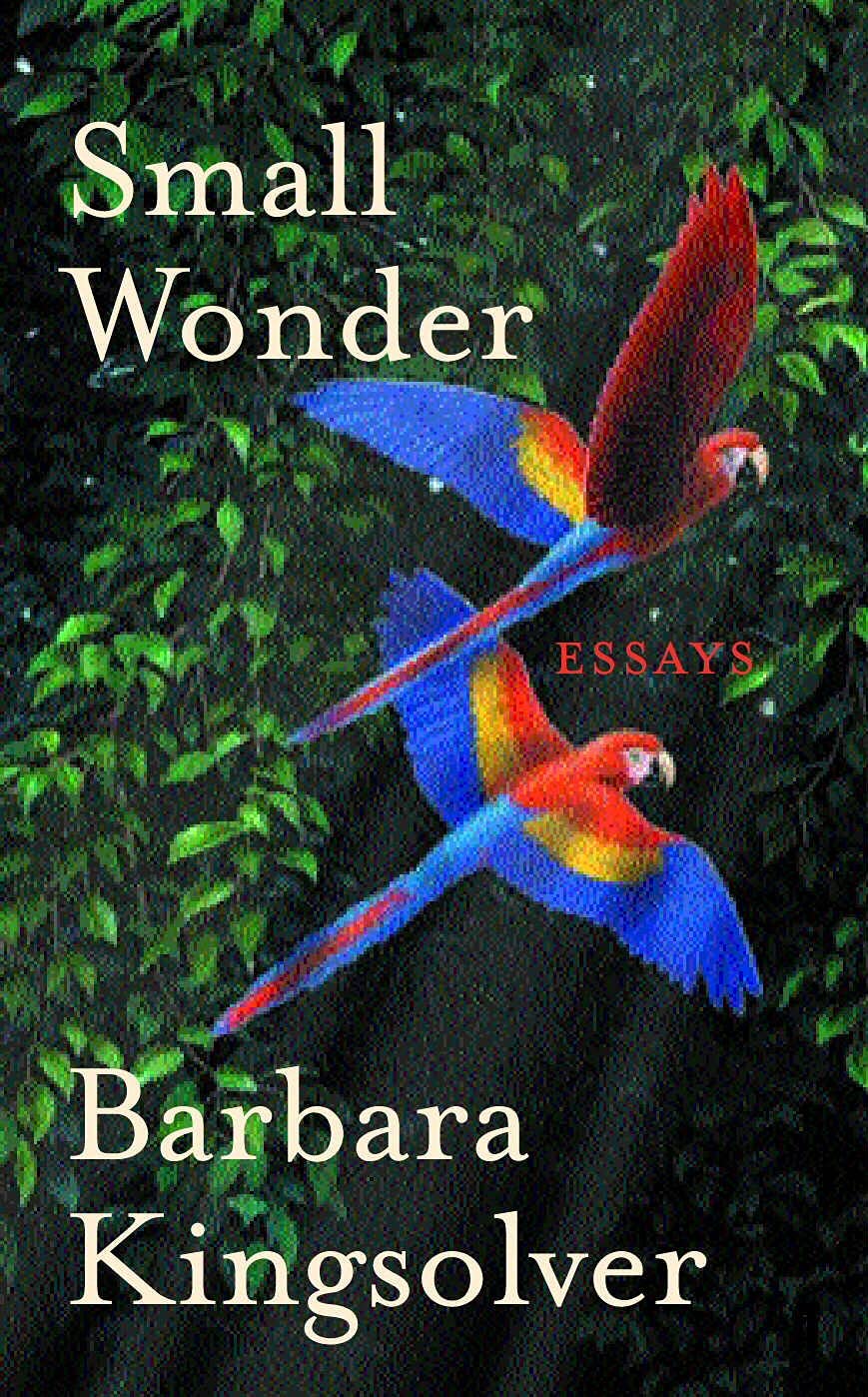 Small Wonder-Barbara Kingsolver, 9780571215775