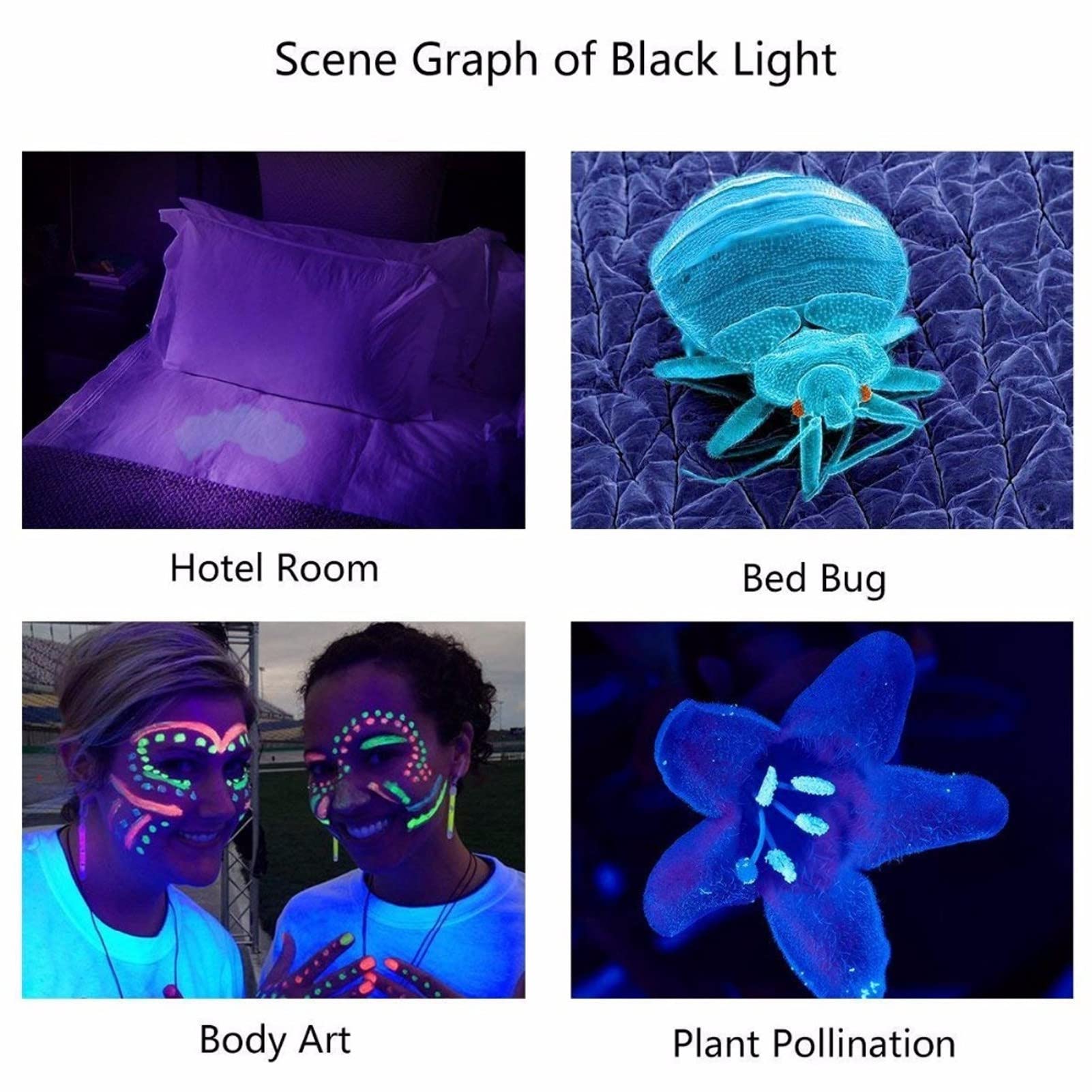 Torcia UV Vansky 365nm - Rilevatore Urina Animali, Caccia Minerali, Luce Nera Professionale - Foto 3