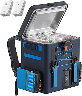 LiTHELi Portable Electric Cooler with Batteries