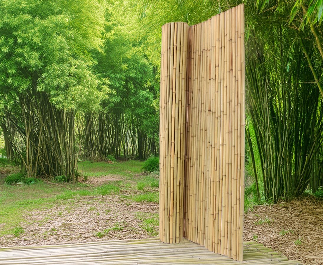 Bambusmatte "Bali Heavy" 180 x 250 cm - Stabile Bambus Sichtschutzmatte