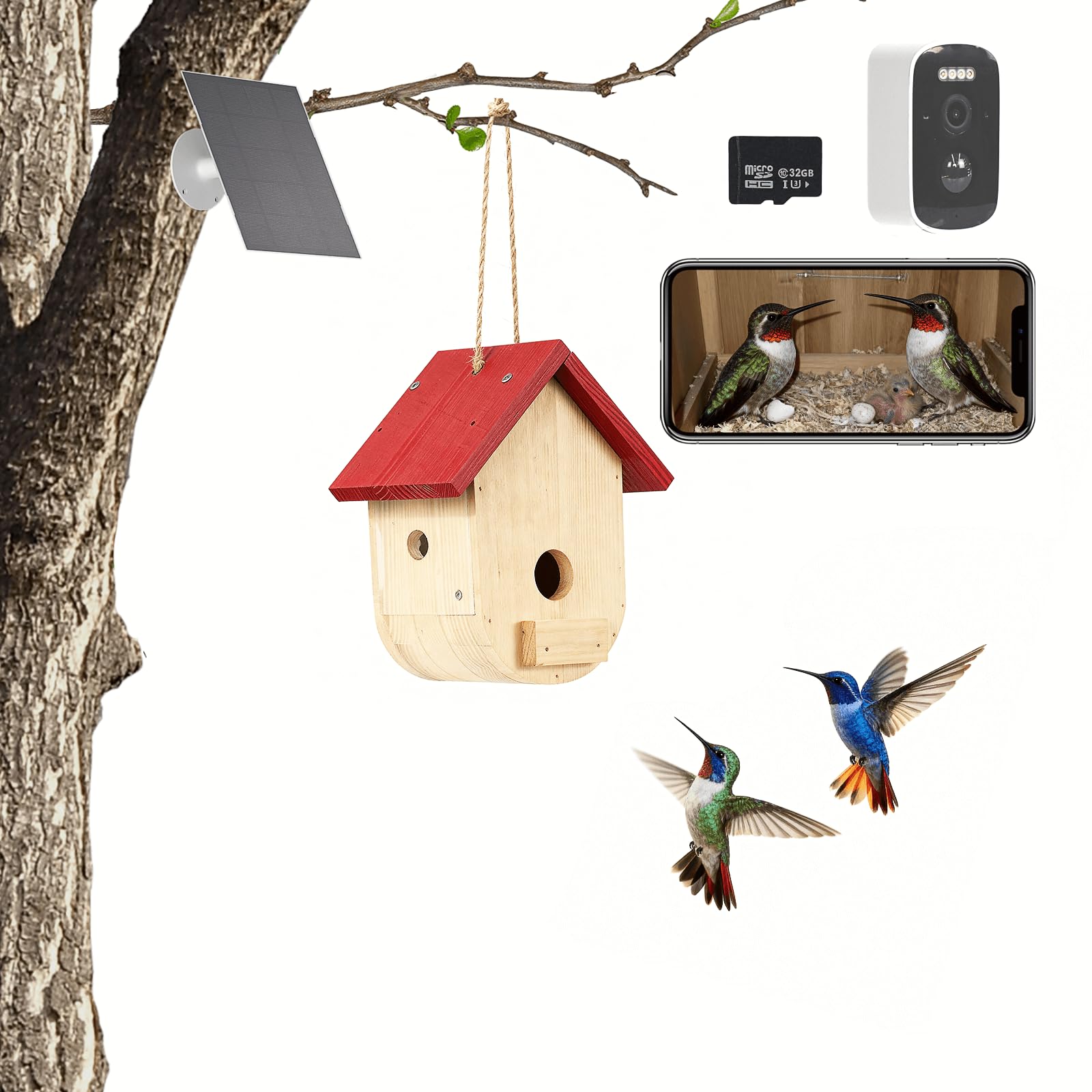 Kolibri Haus mit Kamera Solarbetrieben