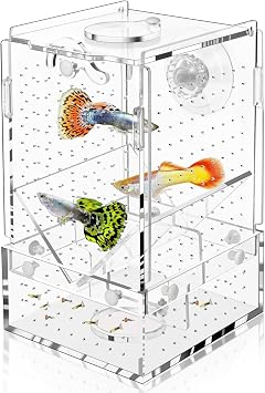 Breeder Box for Fish Tank, Fish Breeder Box for Aquarium, Acrylic Hatchery Incubator Tank with Suction Cups Isolation Box for Baby Fish Shrimp Betta and Guppy Design to Contain Egg, 4x4x6.5