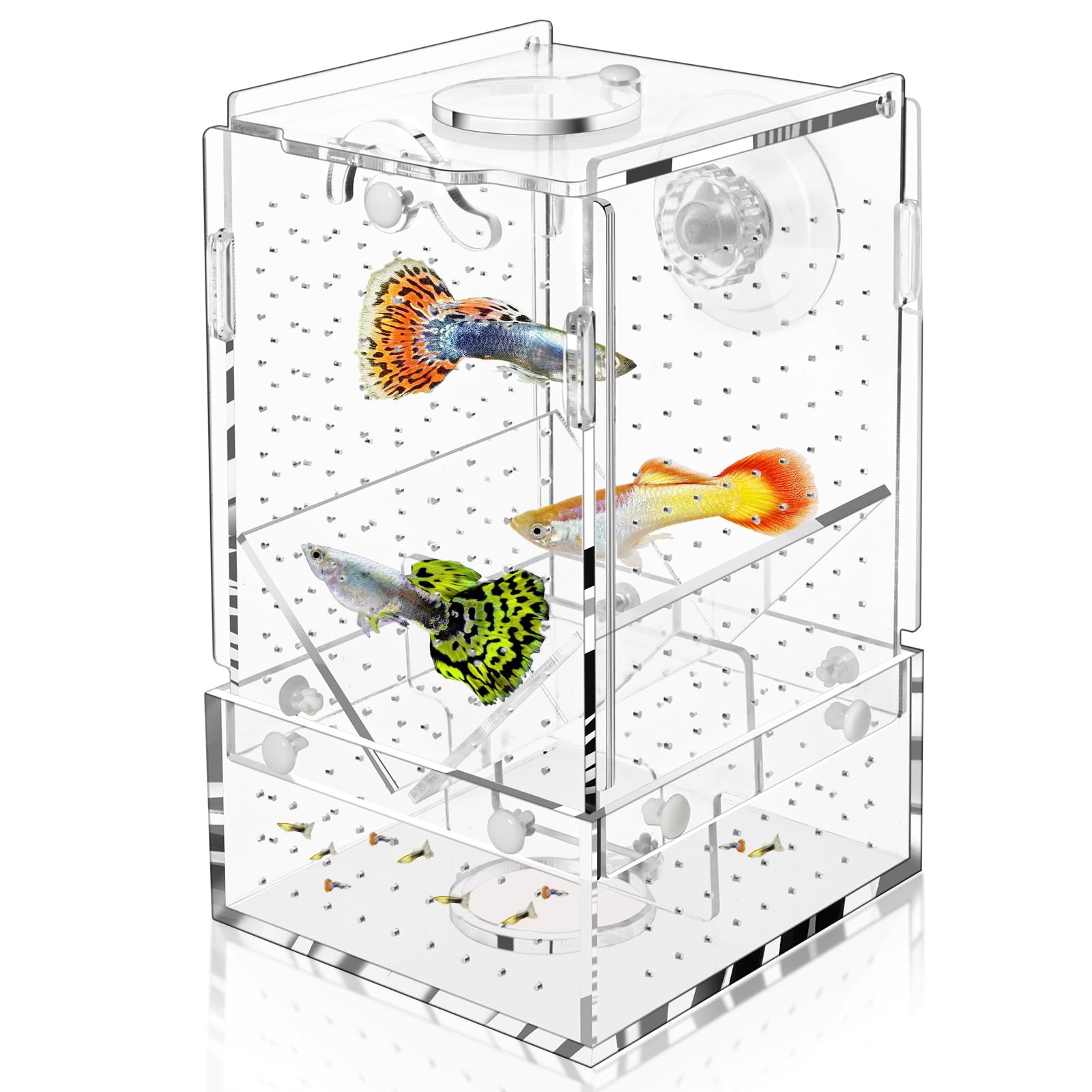 Breeder Box for Fish Tank, Fish Breeder Box for Aquarium, Acrylic Hatchery Incubator Tank with Suction Cups Isolation Box for Baby Fish Shrimp Betta