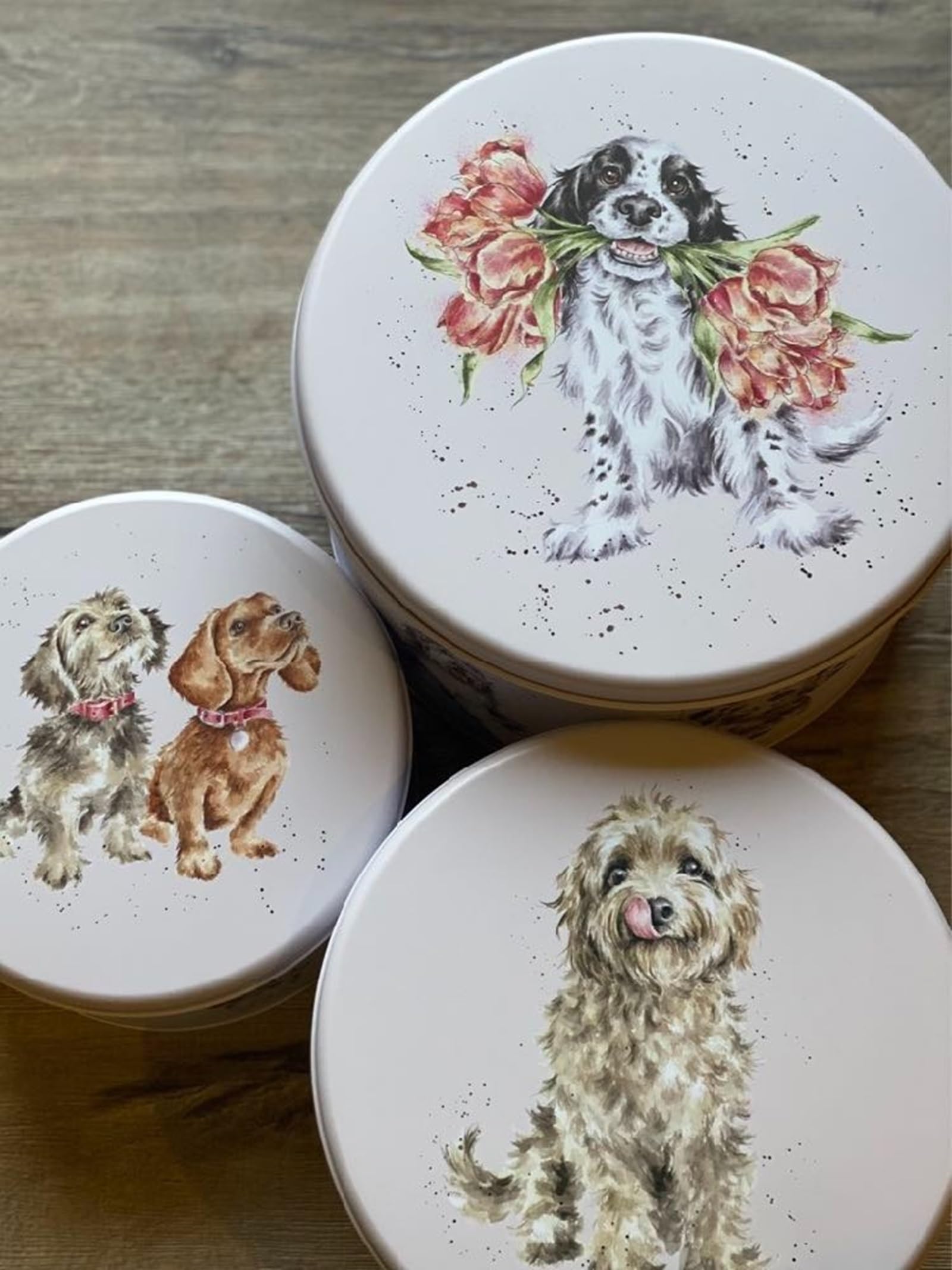 Wrendale Designs Hannah Dale Kuchenform "A Dog's Life", 250 mm, 225 mm und 195 mm Durchmesser
