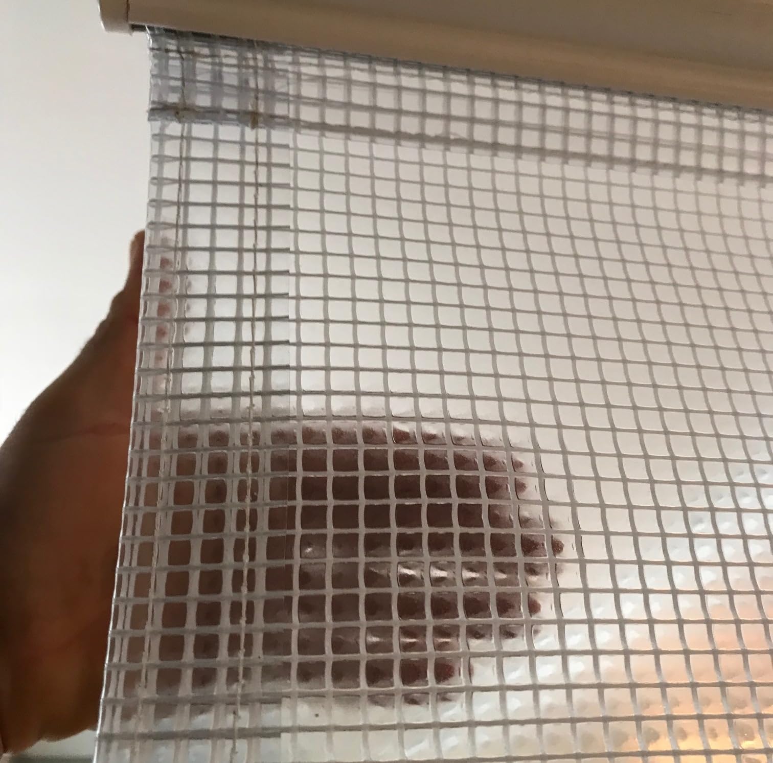 Cimmino Tenda Antipioggia in PVC retinato Semitrasparente. Made in Italy