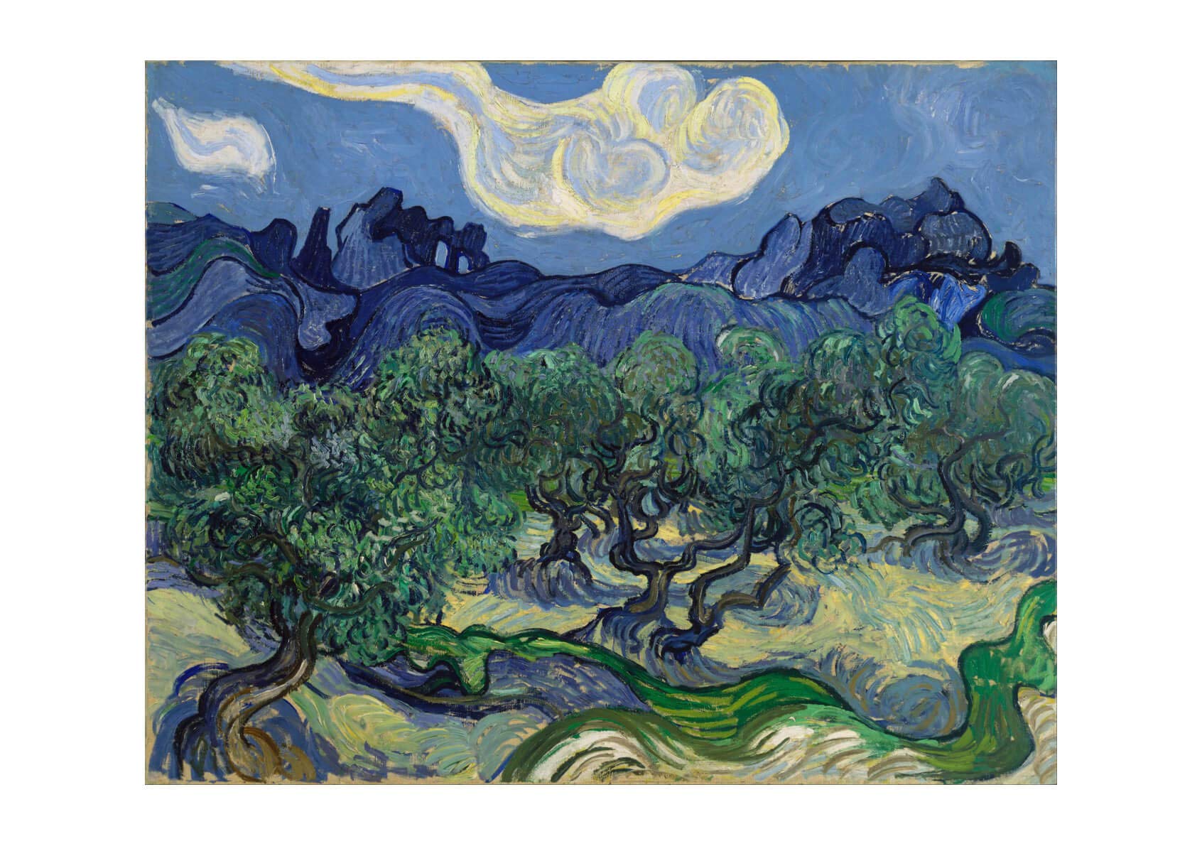 Cadre Van Gogh The Olive Trees grand format superbe cadeau crémaillère de luxe