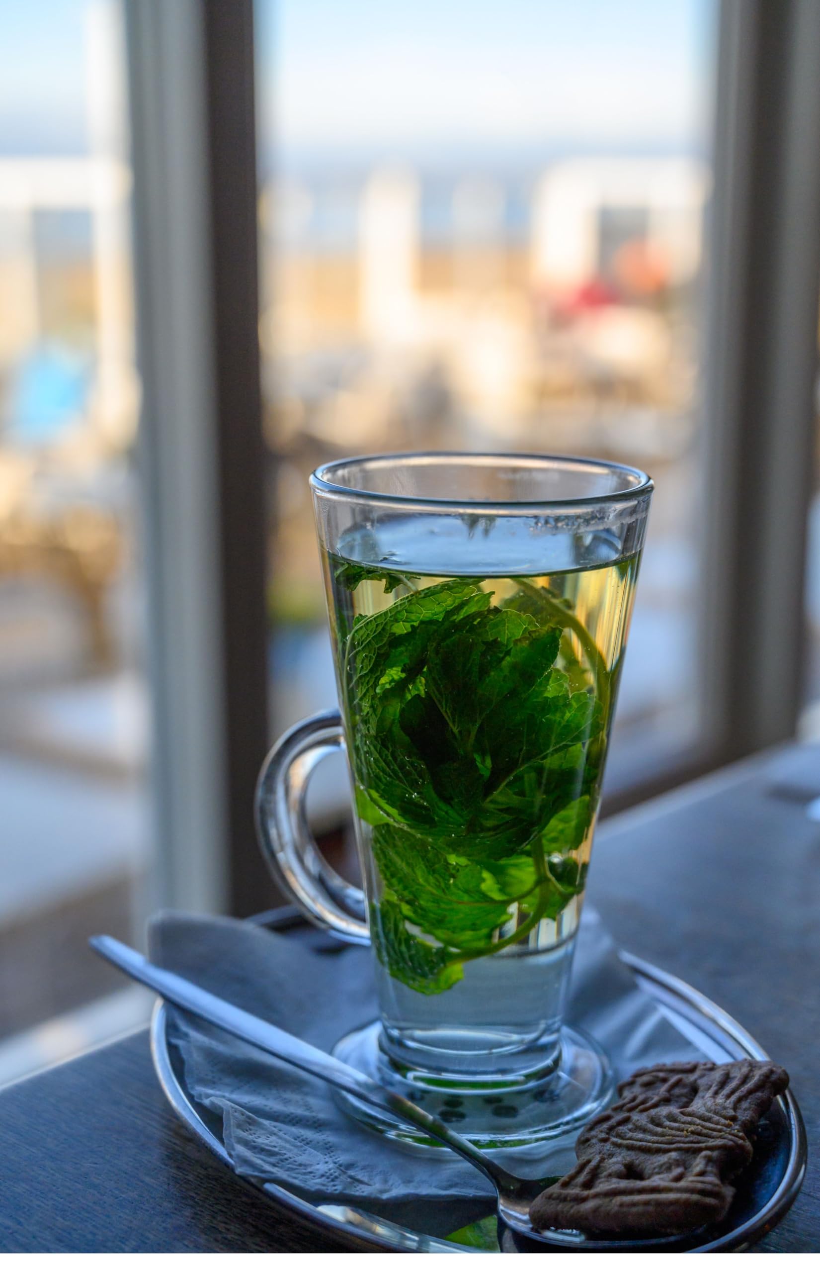 Menta Mojito liofilizzata a foglie intere-pronta all'uso per Cocktail, tisane e Piatti Innovativi-Preserva il 98% del gusto, colore e aroma della menta fresca- 100% MENTA HIERBABUENA-