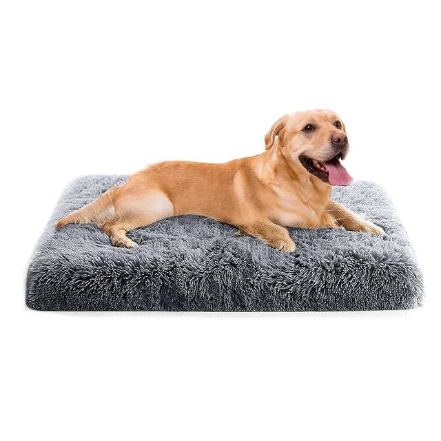 PETCUTE Cojín Ortopédico para Perros,Lavable,Colchoneta para Perros,2XL