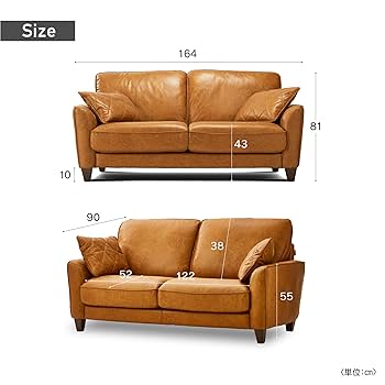 Amazon.co.jp: 【開梱設置便】 レザーテックス(Leathertex