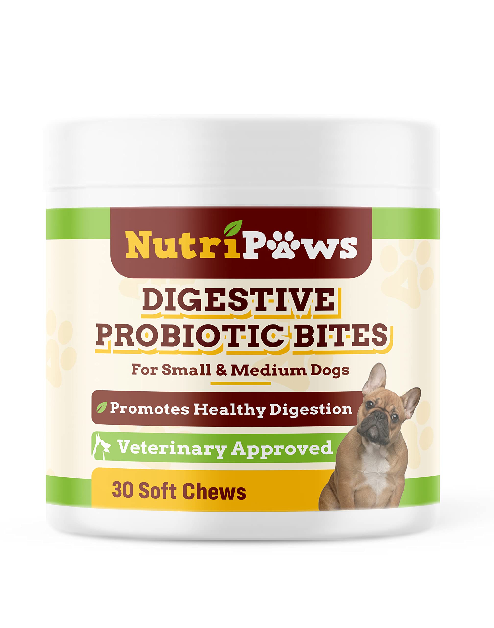 Buy paws Digestive Probiotics for Dogs Dog Gut Probiotics Dog