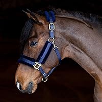 Vista 3 de Dura-Tech Halter de nailon con forro polar para caballos, máxima comodidad para caballos, diseño antifrotamiento, alta ajustabilidad, herrajes