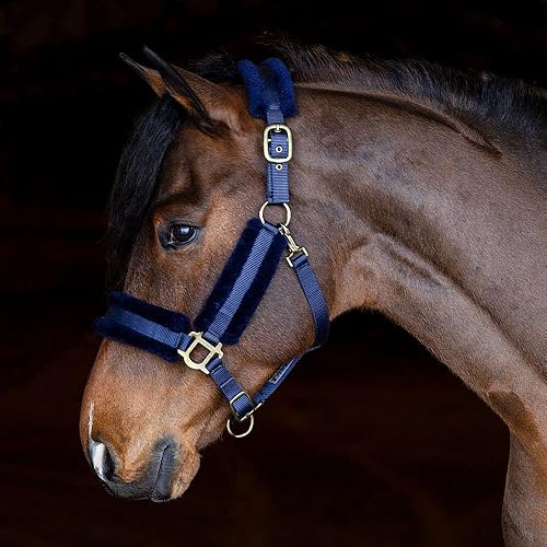 Miniatura 3 de Dura-Tech Halter de nailon con forro polar para caballos, máxima comodidad para caballos, diseño antifrotamiento, alta ajustabilidad, herrajes de