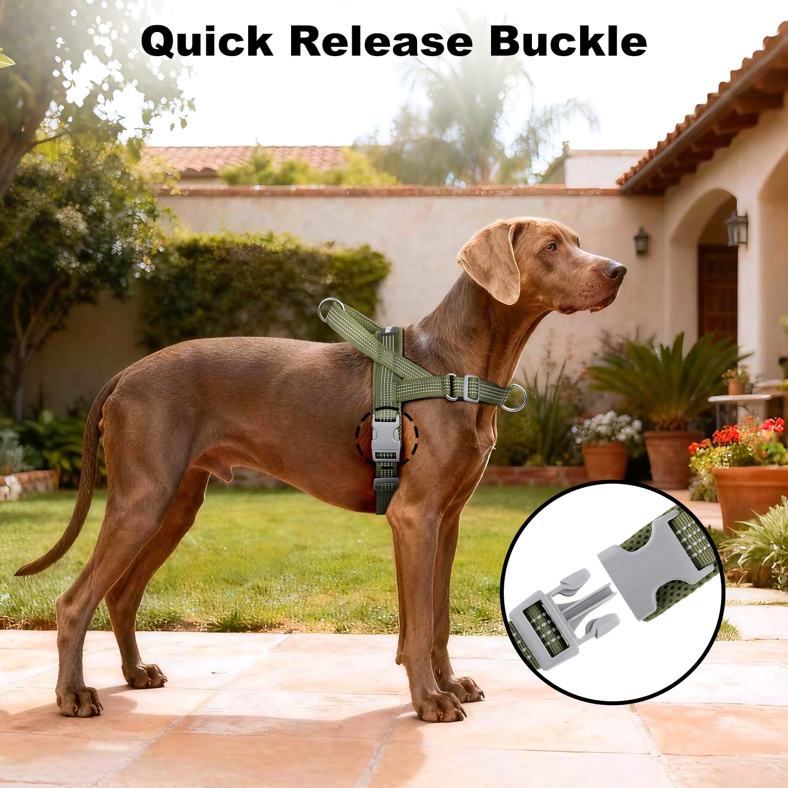 No Pull Dog Harness with Handle, Adjustable Mesh Padded Reflective Walking Harness with Front Clip for Small Medium Large Dogs – Quick Fit No Escape for Training and Hiking (Ranger Green, M) - image 6