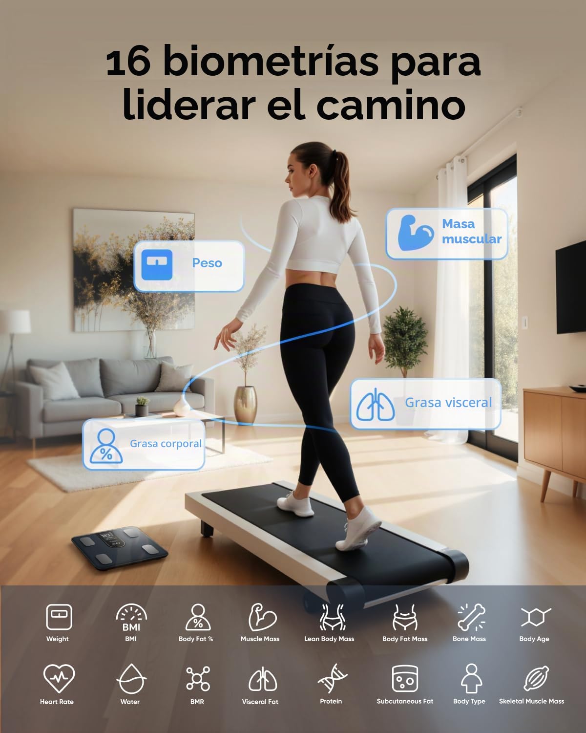 eufy C20 Báscula de baño inteligente , báscula digital de grasa corporal, pantalla TFT grande, Bluetooth, 16 lecturas de peso, IMC, etc., multimodos, alta precisión | Bluetooth, 16 lecturas de peso, IMC, etc., pantalla TFT, multimodos, alta precisión